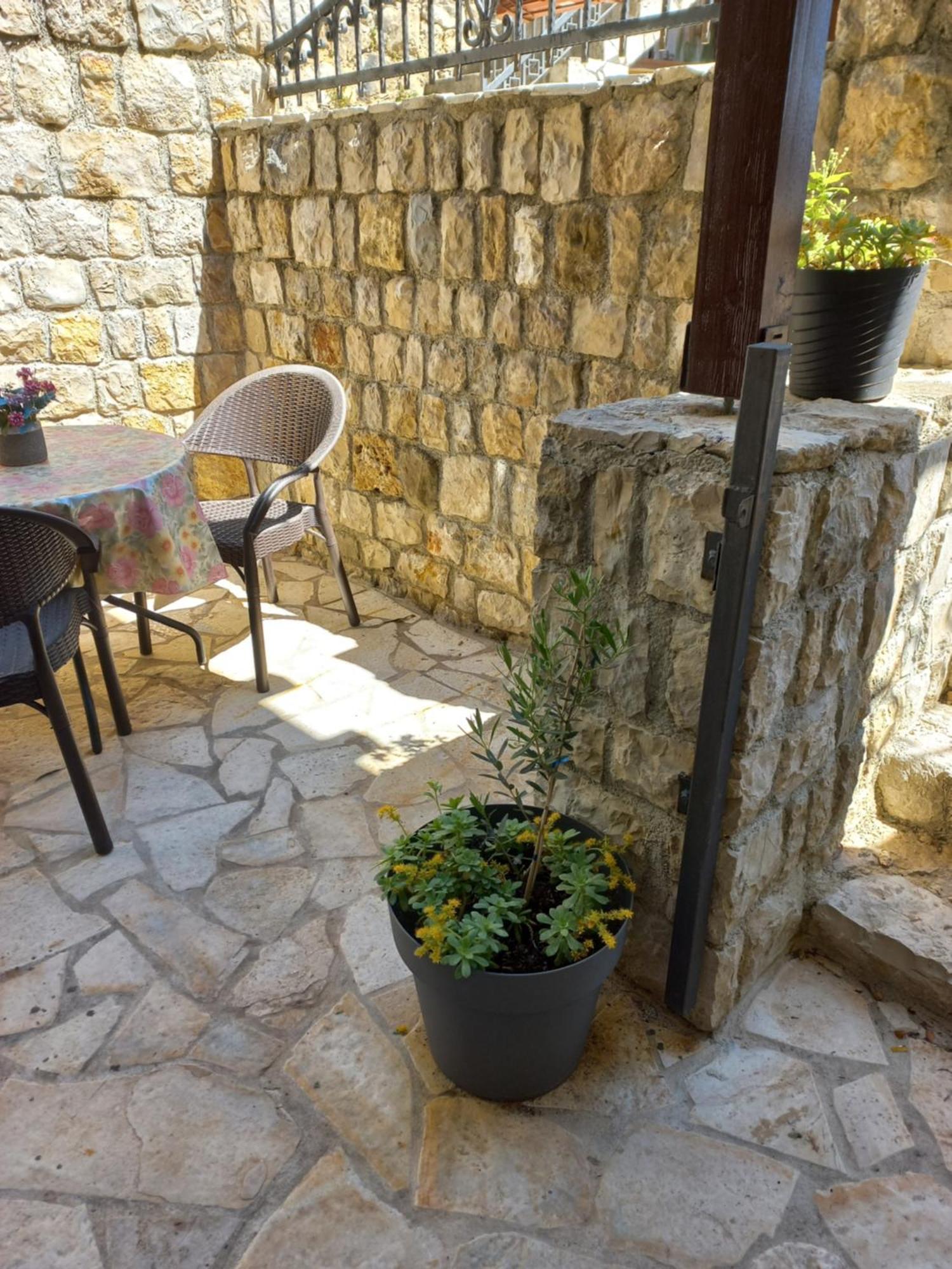 Apartments Antigona Old Town Ulcinj Zimmer foto